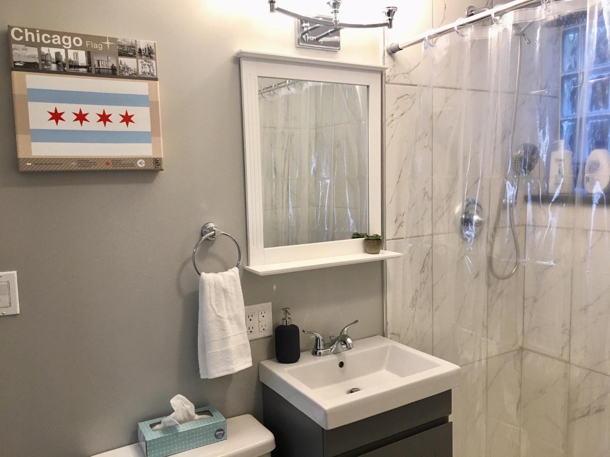 Spacious Historic In Lakeview - Walk To Wrigley, Nightlife, Shops, Hospitals Chicago