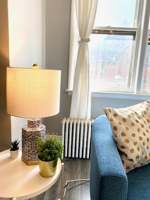 Apartment Spacious Historic In Lakeview - Walk To Wrigley, Nightlife, Shops, Hospitals Chicago