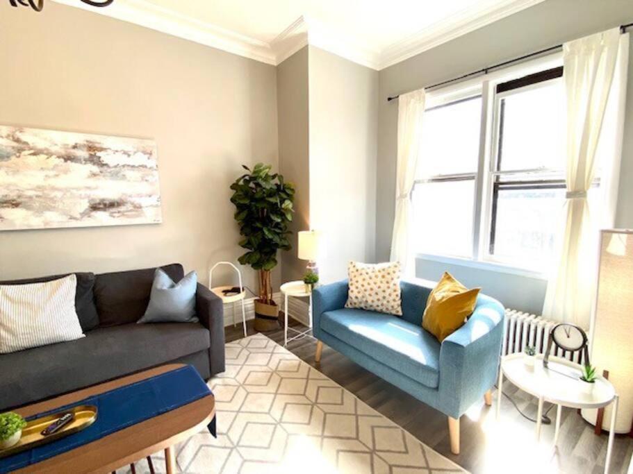 Apartment Spacious Historic In Lakeview - Walk To Wrigley, Nightlife, Shops, Hospitals