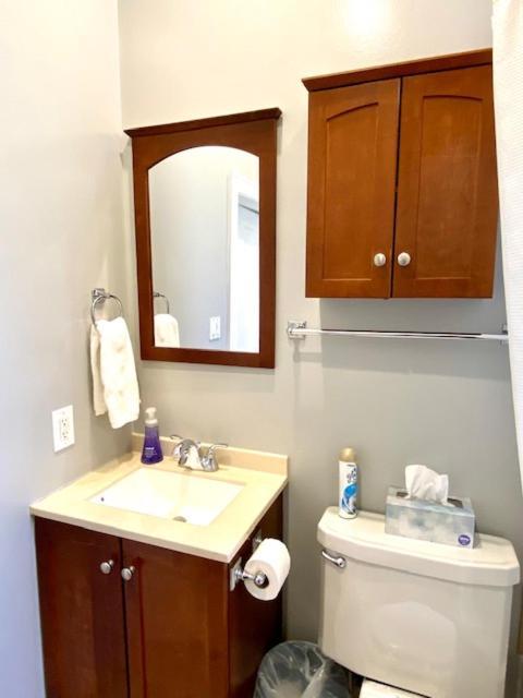 Spacious Historic In Lakeview - Walk To Wrigley, Nightlife, Shops, Hospitals Apartamento *
